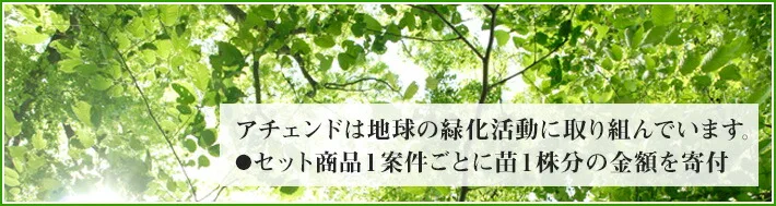 アチェンドの環境活動
